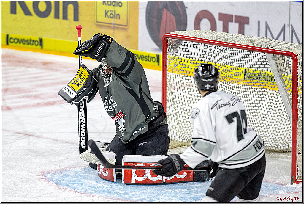 DEL; Koelner Haie - Thomas Sabo Ice Tigers, 28.11.2018